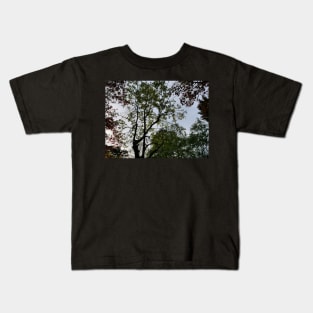 Colour of the tree on sunset Kids T-Shirt